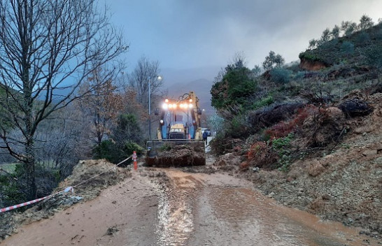 Era e fortë dhe reshjet e dendura të shiut rrëzojnë pemët në Tiranë [Foto]