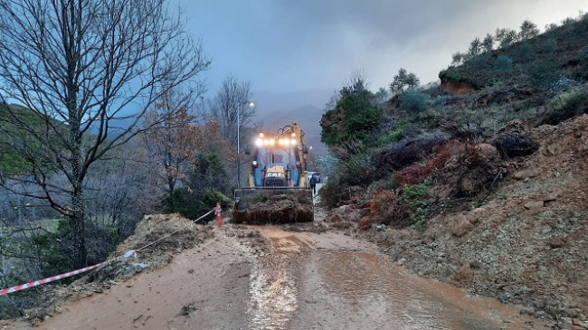 Era e fortë dhe reshjet e dendura të shiut rrëzojnë pemët në Tiranë [Foto]