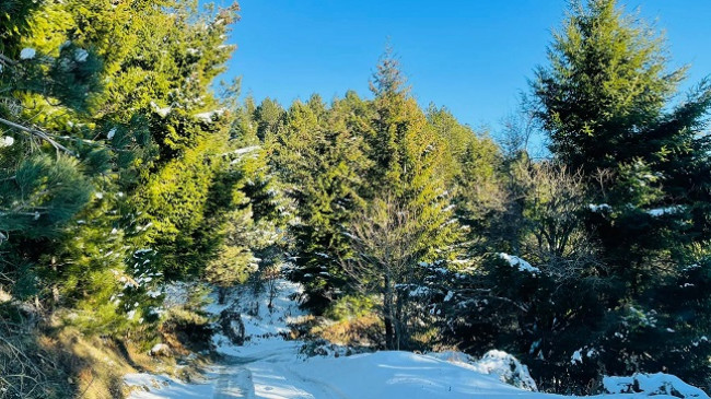 Diell dhe rënie të temperaturave, njihuni me parashikimin e motit në Shqipëri