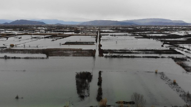 Bashkia e Shkodrës kërkon shpalljen e gjendjes së fatkeqësisë natyrore nga përmbytjet
