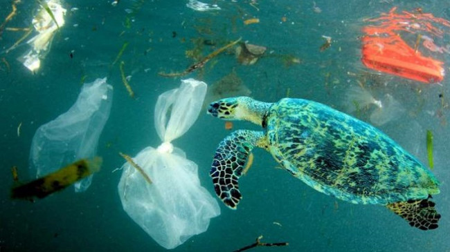 Agjencia Evropiane e Mjedisit: Evropa të tregohet më inteligjente në përdorimin e plastikës