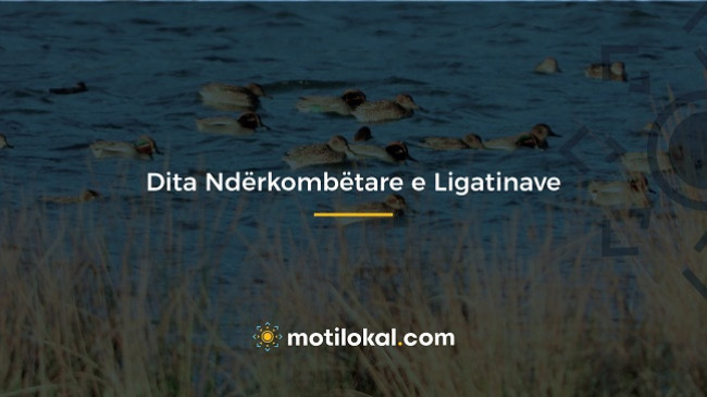 2 Shkurt - Dita Ndërkombëtare e Ligatinave