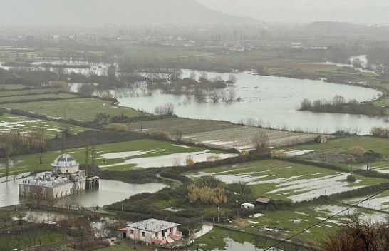 Tekat e natyrës dhe kontrasti në menaxhimin e tyre