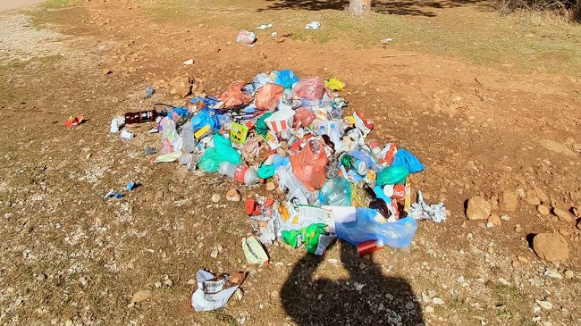 Dil në park dhe ‘shijo’ aromën e bërllogut!