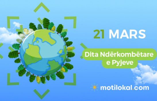 21 Mars - Dita Ndërkombëtare e Pyjeve