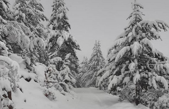 Bora pranverore mbulon Dibrën