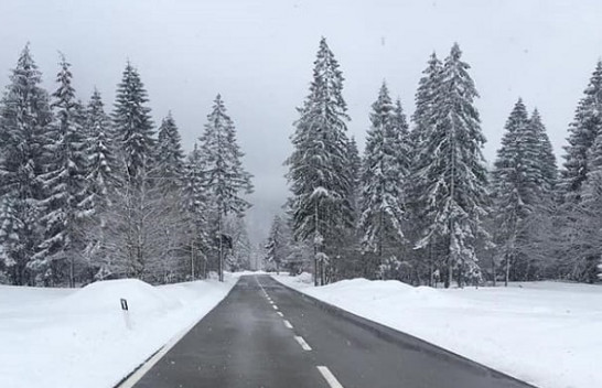Kujtuat se iku dimri? Reshje bore e shiu në Shqipëri