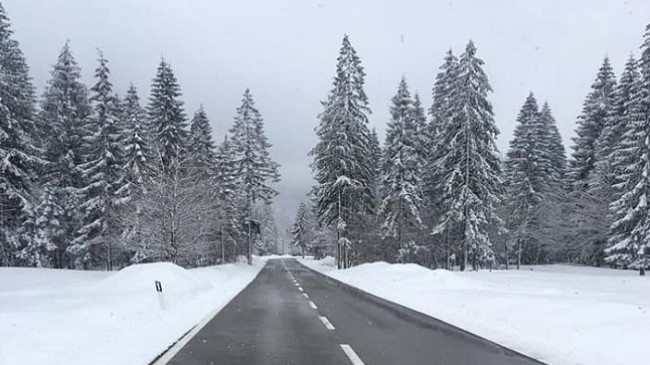 Kujtuat se iku dimri? Reshje bore e shiu në Shqipëri
