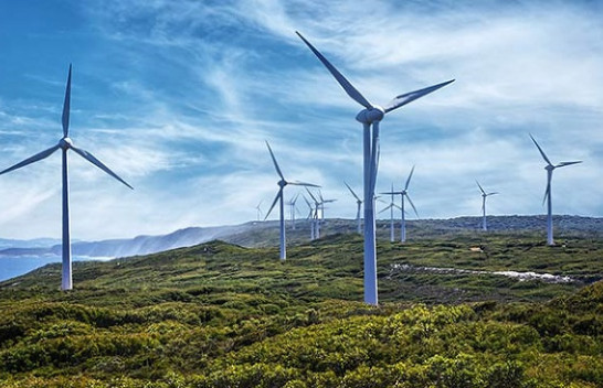 Rritet sektori i energjisë së erës pavarësisht COVID-19