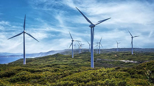 Rritet sektori i energjisë së erës pavarësisht COVID-19