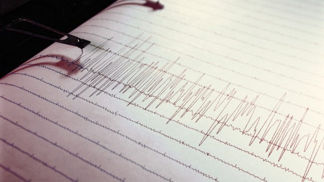 Tërmet më magnitudë 5.4 në detin Adriatik