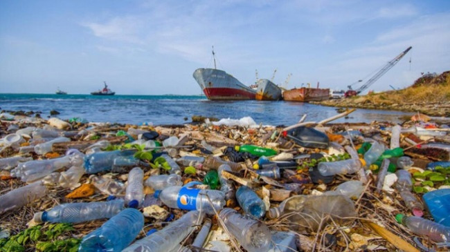 Mbetjet plastike vrasin qindra kafshë në Detin e Zi