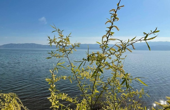 Temperatura tipike të pranverës, parashikimi i motit për sot dhe nesër në Shqipëri