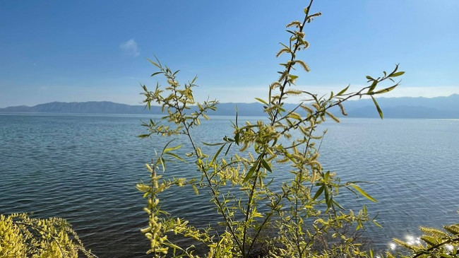 Temperatura tipike të pranverës, parashikimi i motit për sot dhe nesër në Shqipëri