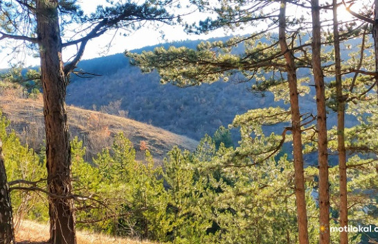Rikthehen rrezet e diellit dhe rriten temperaturat, ky është parashikimi i motit në Kosovë