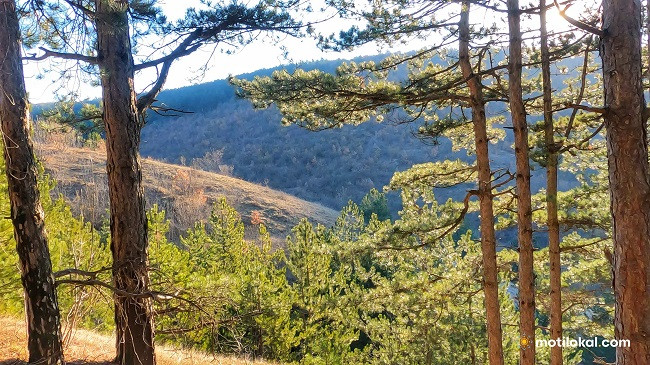Rikthehen rrezet e diellit dhe rriten temperaturat, ky është parashikimi i motit në Kosovë