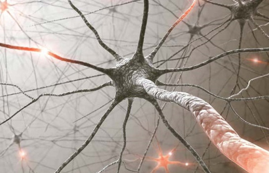 Sistemi nervor artificial ndien dritën dhe mëson të kapë informacionet si njerëzit