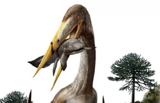 Pterosaurët gjigantë fluturues kishin qafë më të gjatë se gjirafa, thonë ekspertët