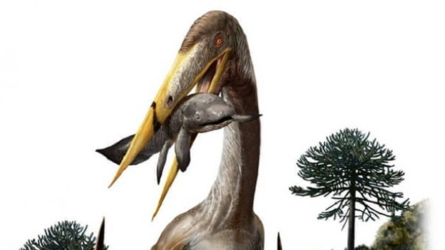 Pterosaurët gjigantë fluturues kishin qafë më të gjatë se gjirafa, thonë ekspertët