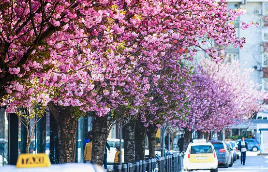 Diell, vranësira e reshje shiu, ky është parashikimi i motit në Maqedoni