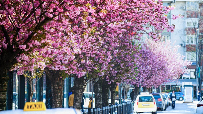 Diell, vranësira e reshje shiu, ky është parashikimi i motit në Maqedoni