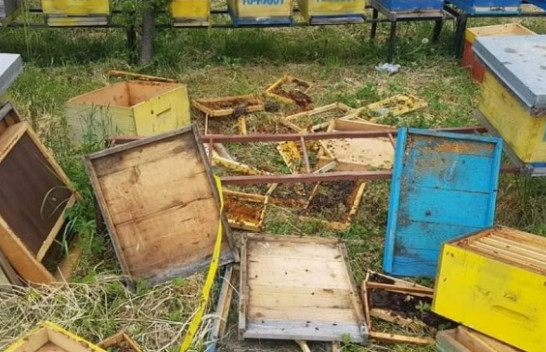 Ariu bën ‘kërdi’ shkatërron dhjetëra koshere me bletë në Istog [Foto]