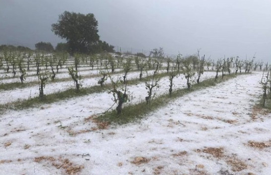 ‘Çmendet’ moti, stuhia e fortë me breshër godet Greqinë [Foto]