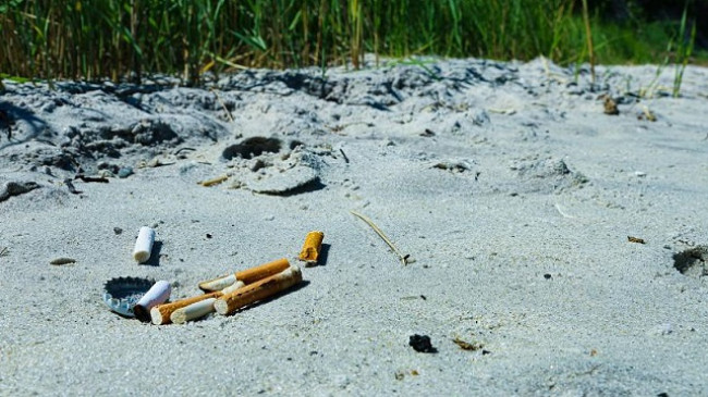 Cigaret po vrasin planetin - A duhet t’i ndalojmë?