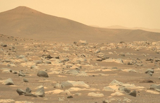 Në fotografi: Roveri i NASA-s feston 100 ditët e para në Mars