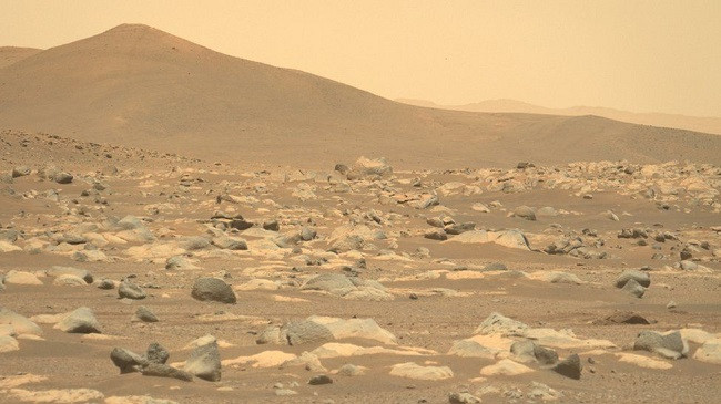 Në fotografi: Roveri i NASA-s feston 100 ditët e para në Mars