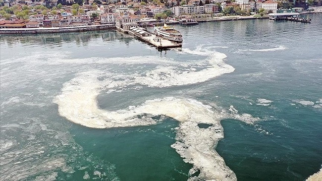 Turqia do të marrë masa për mbrojtjen e Detit Marmara nga algat