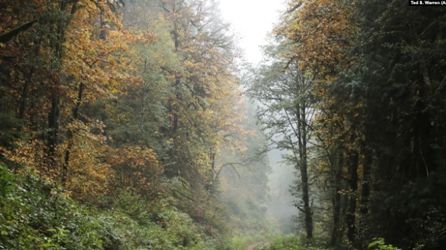 Banka Biologjike e Britanisë premton të mbrojë biodiversitetin e planetit