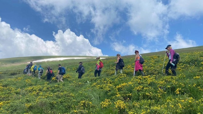 Shtegu i Ngjyrave – Magjia e livadheve Alpine