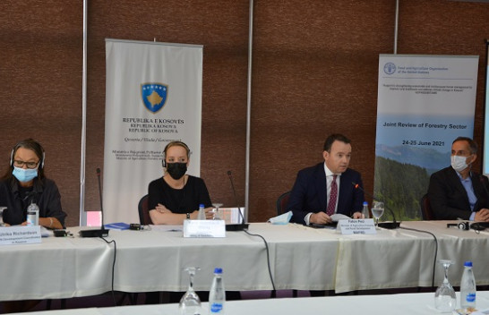 ‘Menaxhimi i Pyjeve deri me tash nuk ka qenë i mirë’