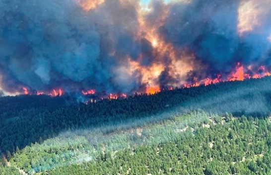 Në fotografi: Vala rekord e të nxehtit në Kanada
