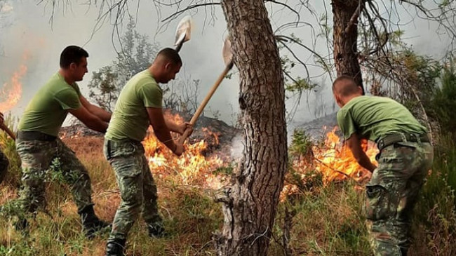 Karaburuni nën flakë/ S’ka ndërhyrje nga ajri, 40 ushtarë ndihmojnë zjarrfikësit