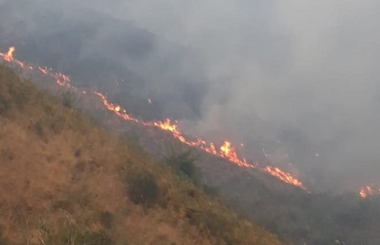 Shënohet viktima e parë nga zjarret në Shqipëri