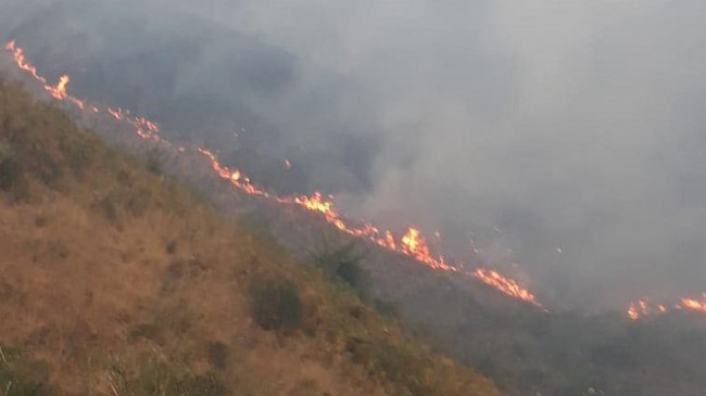 Shënohet viktima e parë nga zjarret në Shqipëri