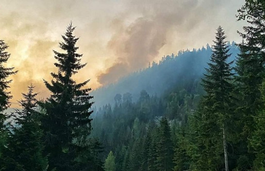 Zjarri në Rugovë ende aktiv, banorët e evakuuar nuk janë lejuar të kthehen ende në shtëpi