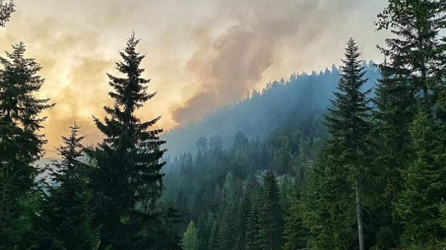 Zjarri në Rugovë ende aktiv, banorët e evakuuar nuk janë lejuar të kthehen ende në shtëpi