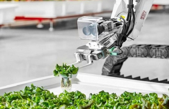 A do të zëvendësohen fermerët nga robotët?