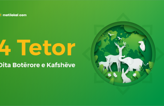 4 Tetor - Dita Botërore e Kafshëve