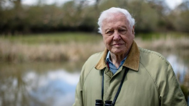 Attenborough thirrje liderëve botërorë për krizën klimatike: Veproni tani, ose do të jetë shumë vonë!