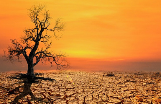 Rritja e temperaturës globale prej 2 °C do të prekë më shumë se gjysmën e botës