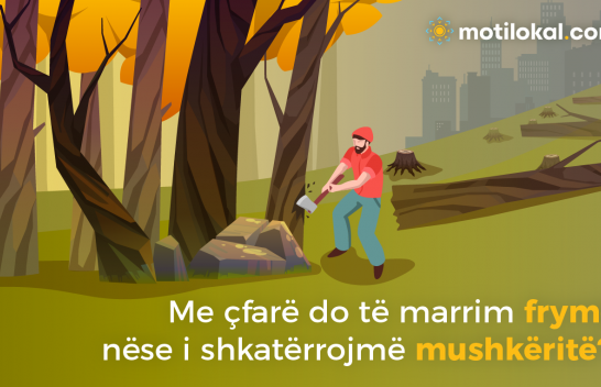 Prej drunj, ndërto shtëpi?!