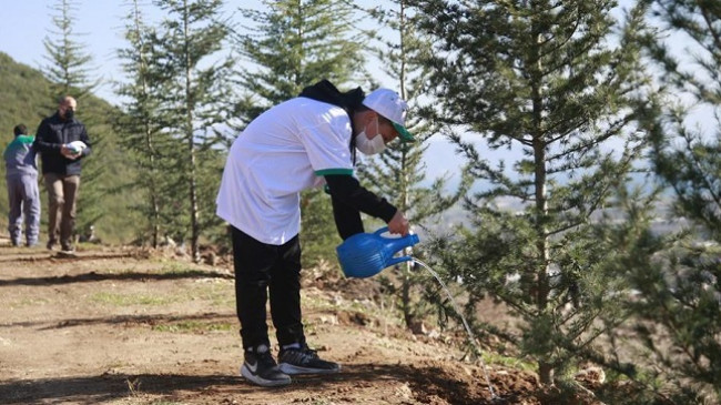 Erdogan: Synojmë të rrisim numrin e fidanëve të mbjellë në 7 miliardë deri në fund të vitit 2023