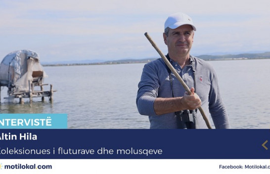 Njihuni me Altin Hilën, koleksionuesin e fluturave dhe molusqeve