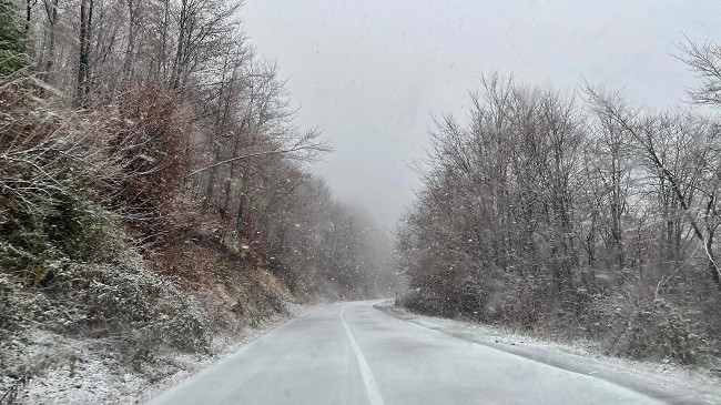 Sot priten reshje bore në Kosovë