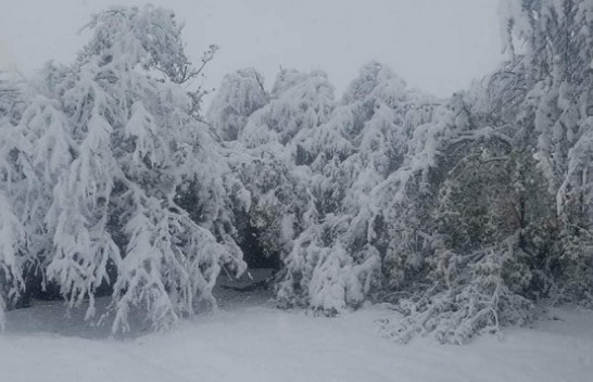 Zbardhet Korça/ Bora arrin deri në 30 centimetra në zonat malore [Foto]