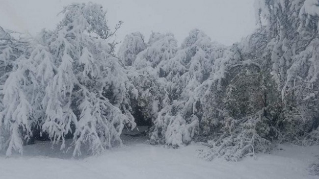 Zbardhet Korça/ Bora arrin deri në 30 centimetra në zonat malore [Foto]